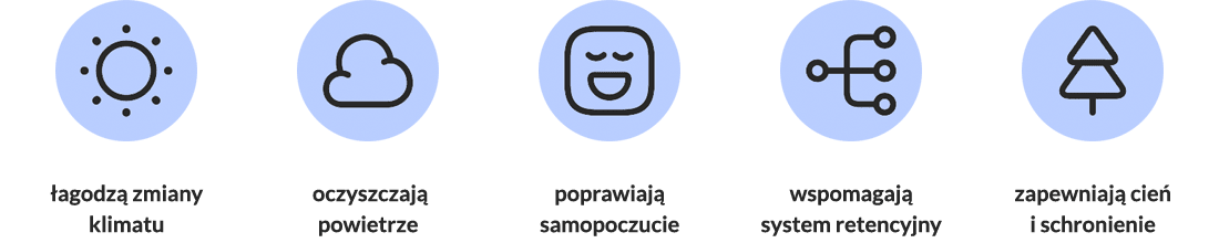 Nasze drzewa to nie tylko liczby Nasze drzewa to nie tylko liczby