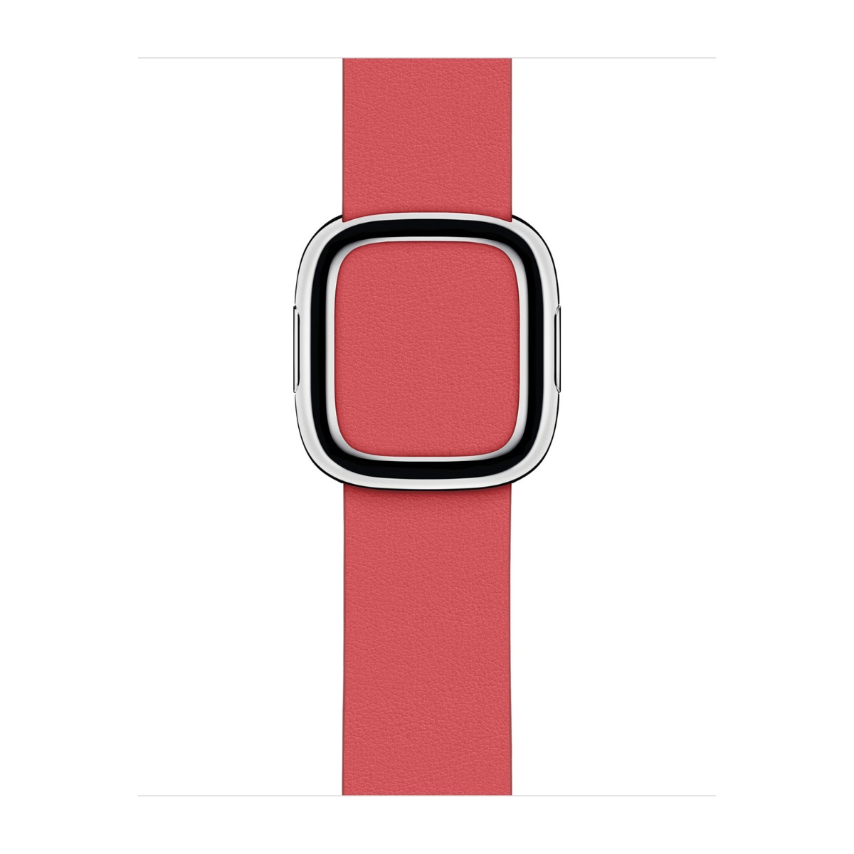Pasek z klamrą nowoczesną do Apple Watch